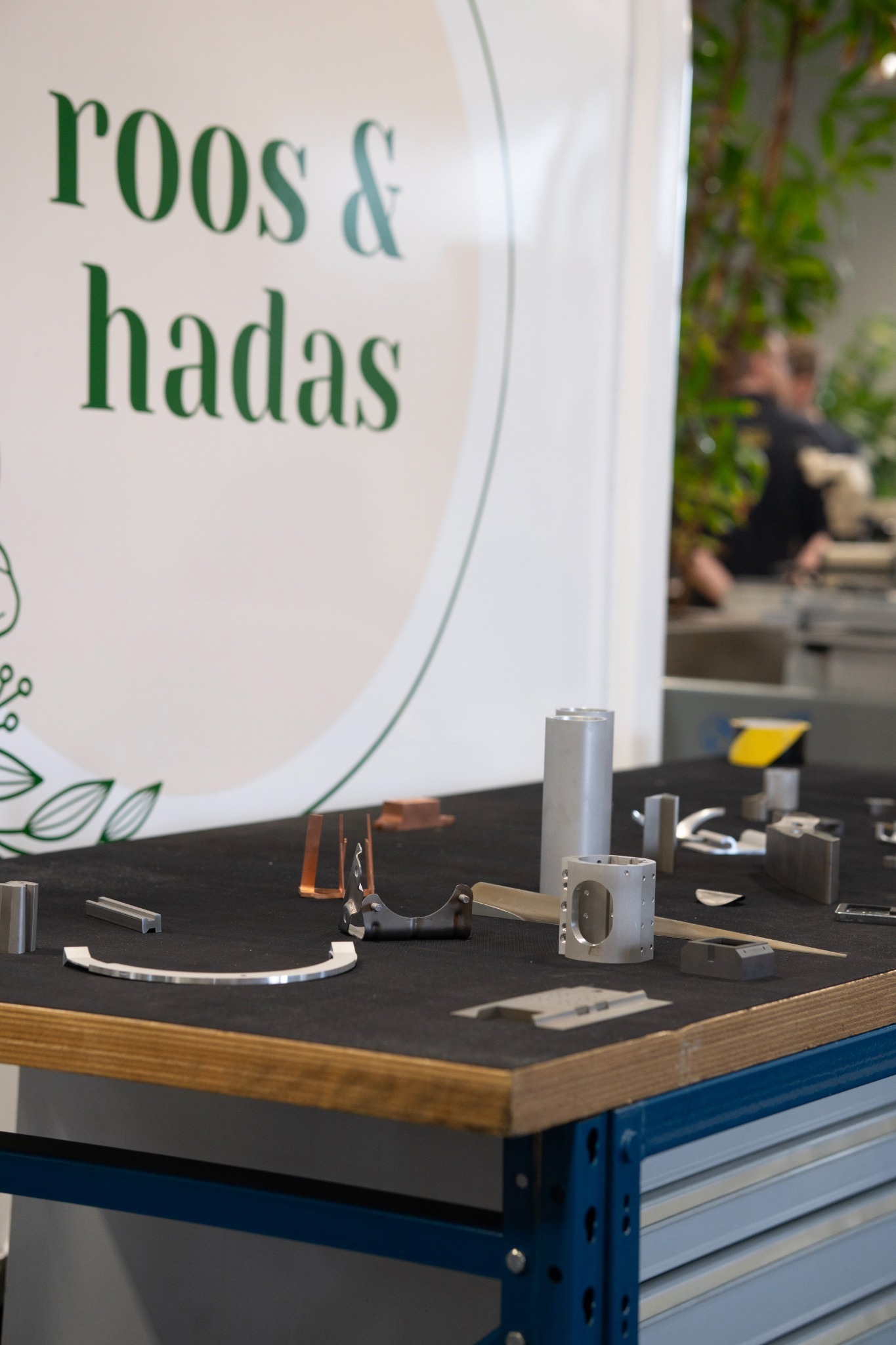 Open dag - Roos en Hadas