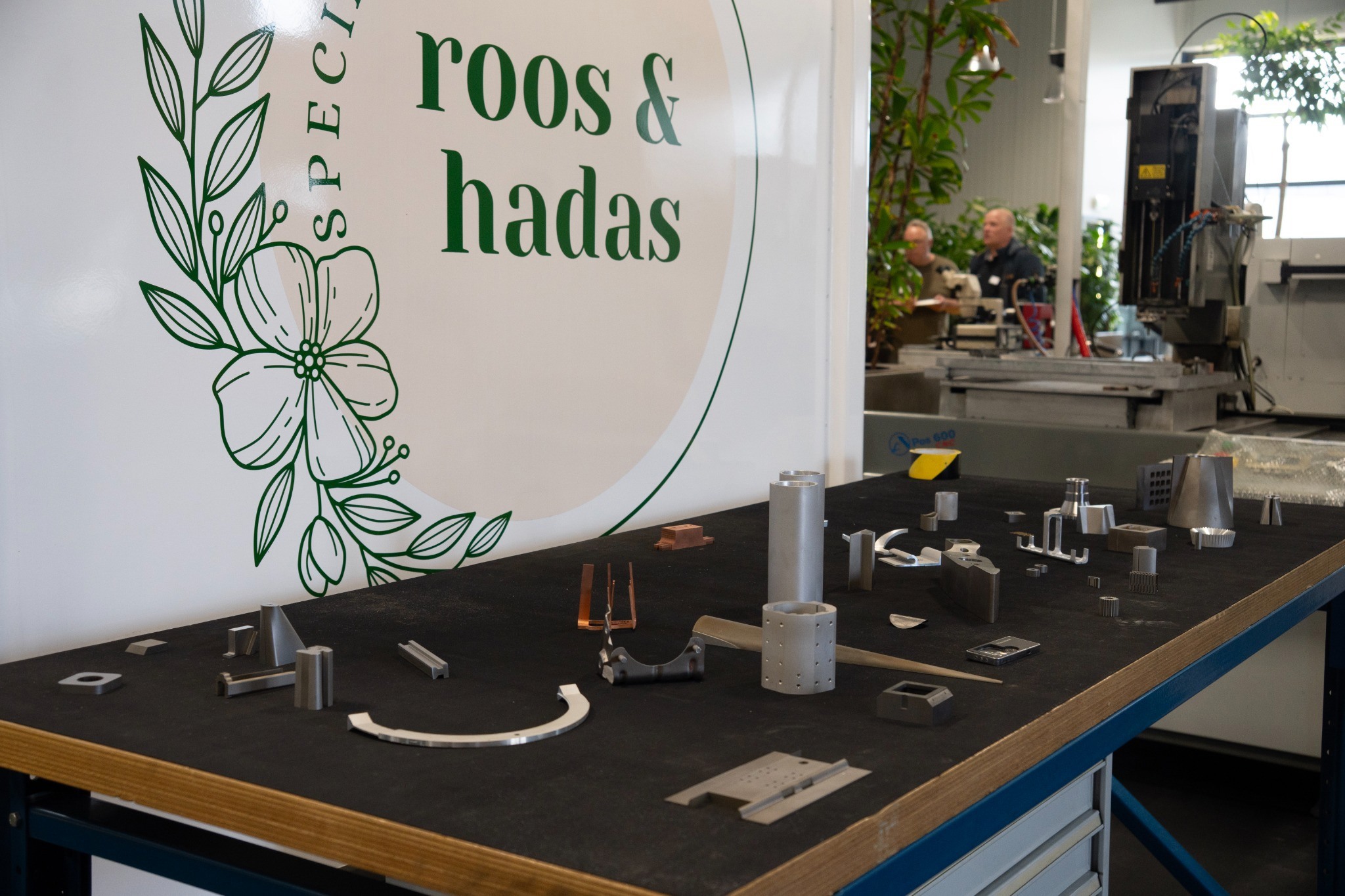 Open dag - Roos & hadas